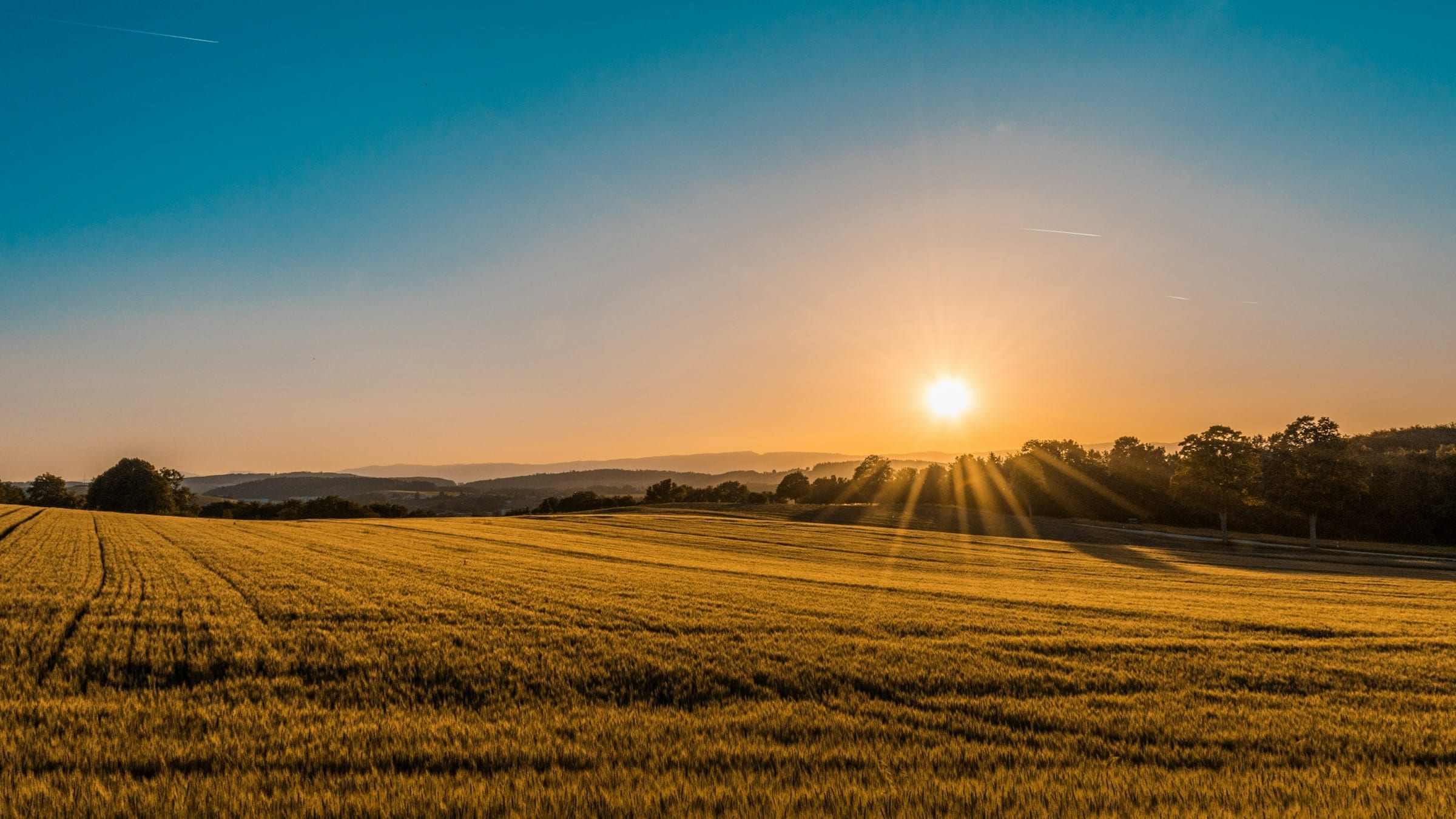 Terrain dégagé au coucher du soleil, prêt à bâtir